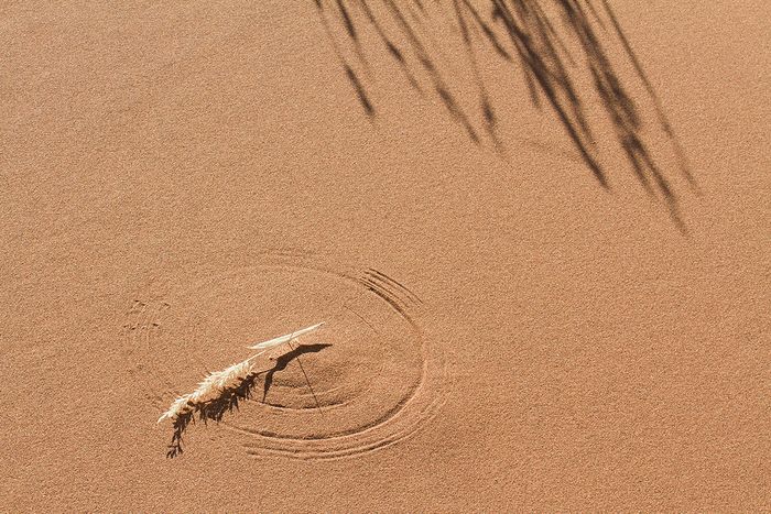 Uge Fuertes, Teruel, arte, creatividad,metáfora visual, simbolismo,fotografia, naturaleza,  vegetal, art, creativity, expresión, arena, reloj de arena, sombras, Namibia, desierto, 
